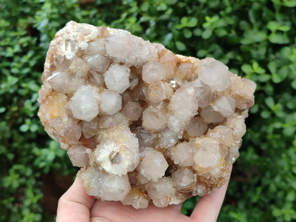 Natural Spirit Quartz Cluster x 1 From Boekenhouthoek, South Africa