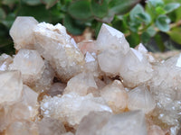 Natural Spirit Quartz Cluster x 1 From Boekenhouthoek, South Africa