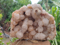 Natural Spirit Quartz Cluster x 1 From Boekenhouthoek, South Africa