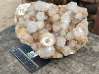 Natural Spirit Quartz Cluster x 1 From Boekenhouthoek, South Africa