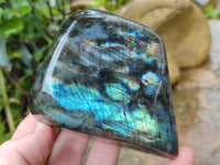 Polished Labradorite Standing Free Forms x 3 From Tulear, Madagascar