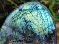 Polished Labradorite Standing Free Forms x 3 From Tulear, Madagascar