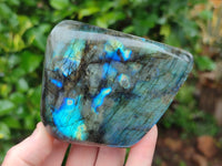 Polished Labradorite Standing Free Forms x 3 From Tulear, Madagascar