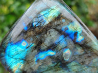 Polished Labradorite Standing Free Forms x 3 From Tulear, Madagascar