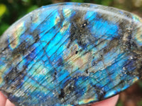 Polished Labradorite Standing Free Forms x 3 From Tulear, Madagascar