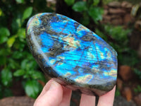 Polished Labradorite Standing Free Forms x 3 From Tulear, Madagascar