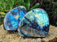 Polished Labradorite Standing Free Forms x 3 From Tulear, Madagascar