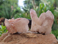 Natural Red Hematoid Quartz Clusters x 25 From Karoi, Zimbabwe