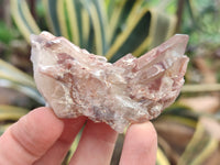 Natural Red Hematoid Quartz Clusters x 25 From Karoi, Zimbabwe