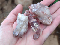 Natural Red Hematoid Quartz Clusters x 25 From Karoi, Zimbabwe