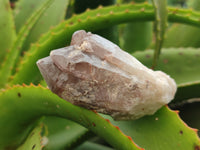 Natural Red Hematoid Quartz Clusters x 25 From Karoi, Zimbabwe