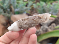 Natural Drusy Quartz Coated Calcite Pseudomorph Specimens x 20 From Alberts Mountain, Lesotho