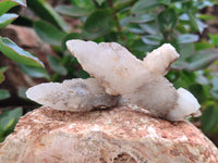 Natural Drusy Quartz Coated Calcite Pseudomorph Specimens x 20 From Alberts Mountain, Lesotho