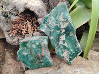 Polished On One Side Emerald Mtorolite Plates x 3 From Mutorashanga, Zimbabwe