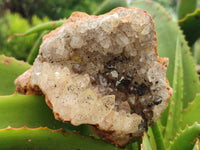 Natural Limonite Quartz Clusters x 6 From Solwezi, Zambia