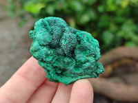 Natural Silky Malachite Specimens x 35 From Kasompe, Congo