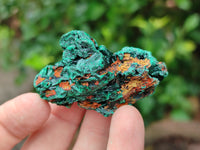 Natural Silky Malachite Specimens x 35 From Kasompe, Congo