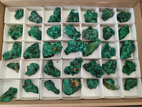 Natural Silky Malachite Specimens x 35 From Kasompe, Congo