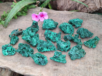 Natural Silky Malachite Specimens x 35 From Kasompe, Congo