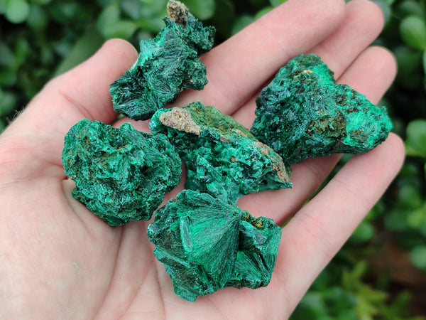 Natural Silky Malachite Specimens x 35 From Kasompe, Congo