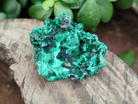 Natural Silky Malachite Specimens x 35 From Kasompe, Congo