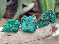 Natural Silky Malachite Specimens x 35 From Kasompe, Congo