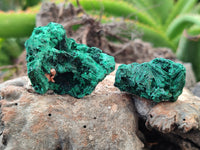 Natural Silky Malachite Specimens x 35 From Kasompe, Congo