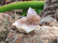 Natural Amethyst Spirit Quartz Crystals x 70 From Boekenhouthoek, South Africa