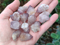 Natural Amethyst Spirit Quartz Crystals x 70 From Boekenhouthoek, South Africa