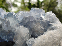 Natural Celestite Geode Specimen x 1 From Sakoany, Madagascar