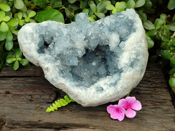 Natural Celestite Geode Specimen x 1 From Sakoany, Madagascar