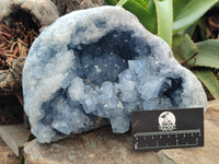 Natural Celestite Geode Specimen x 1 From Sakoany, Madagascar