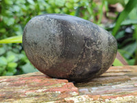 Polished Pharaoh Stone Palm Stones x 6 From Zimbabwe