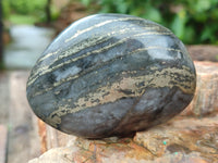 Polished Pharaoh Stone Palm Stones x 6 From Zimbabwe