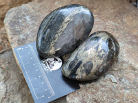 Polished Pharaoh Stone Palm Stones x 6 From Zimbabwe