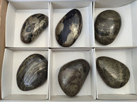 Polished Pharaoh Stone Palm Stones x 6 From Zimbabwe