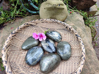 Polished Pharaoh Stone Palm Stones x 6 From Zimbabwe