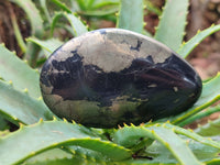 Polished Pharaoh Stone Palm Stones x 6 From Zimbabwe