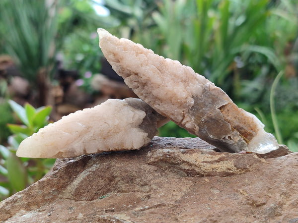 Natural Drusy Quartz Coated Calcite Pseudomorph Specimens x 12 From Alberts Mountain, Lesotho