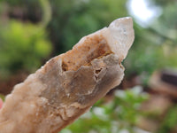 Natural Drusy Quartz Coated Calcite Pseudomorph Specimens x 12 From Alberts Mountain, Lesotho