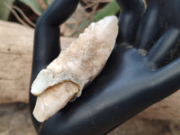 Natural Drusy Quartz Coated Calcite Pseudomorph Specimens x 12 From Alberts Mountain, Lesotho