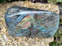 Polished Labradorite Standing Free Forms x 3 From Tulear, Madagascar