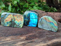 Polished Labradorite Standing Free Forms x 3 From Tulear, Madagascar