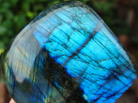 Polished Labradorite Standing Free Forms x 3 From Tulear, Madagascar