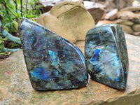 Polished Labradorite Standing Free Forms x 3 From Tulear, Madagascar