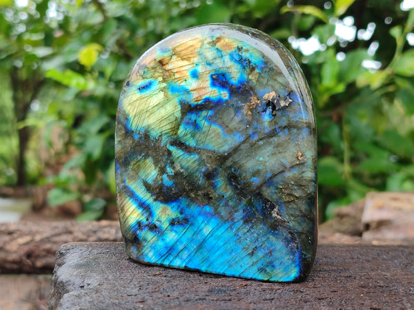 Polished Labradorite Standing Free Forms x 3 From Tulear, Madagascar