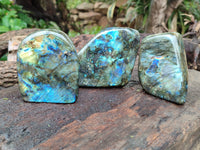 Polished Labradorite Standing Free Forms x 3 From Tulear, Madagascar