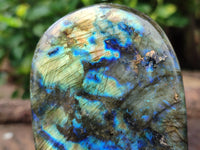 Polished Labradorite Standing Free Forms x 3 From Tulear, Madagascar