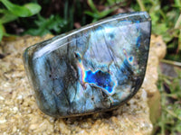 Polished Labradorite Standing Free Forms x 3 From Tulear, Madagascar