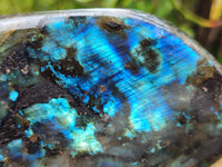 Polished Labradorite Standing Free Forms x 3 From Tulear, Madagascar